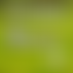 Sheepland Episode 00: Introduction