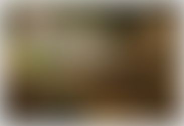 Honey, would you let the Barbarians in?