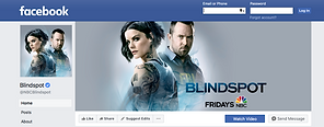 blindspot FB.png