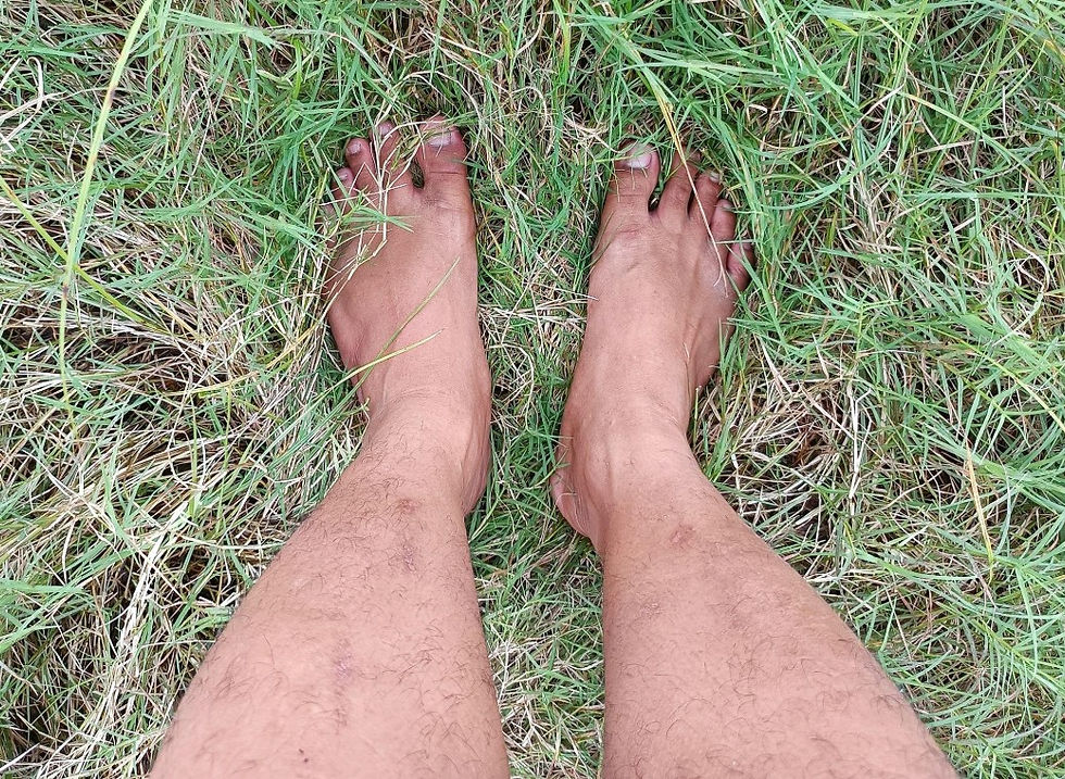 Bare feet standing in grass, representing grounding techniques and reconnecting with the body to calm the nervous system and reduce anxiety.