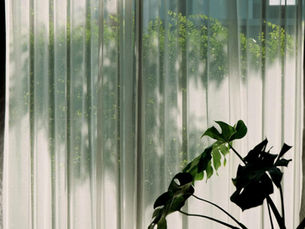 Soft natural light filtering through sheer curtains symbolizing safety, trust, and the supportive environment that helps therapy work