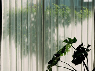 Soft natural light filtering through sheer curtains symbolizing safety, trust, and the supportive environment that helps therapy work