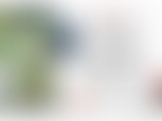Παρουσίαση βιβλίου: «Στόουν – 1. Χαμένος στην Υπογειάνα»