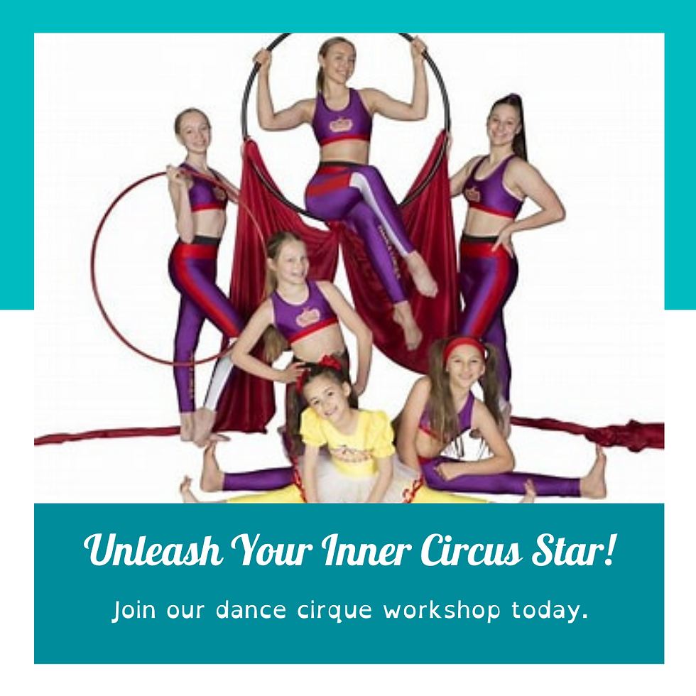 Dance Cirque Adult Workshops
