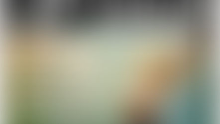   Shows Shows Shows (vaccine required)