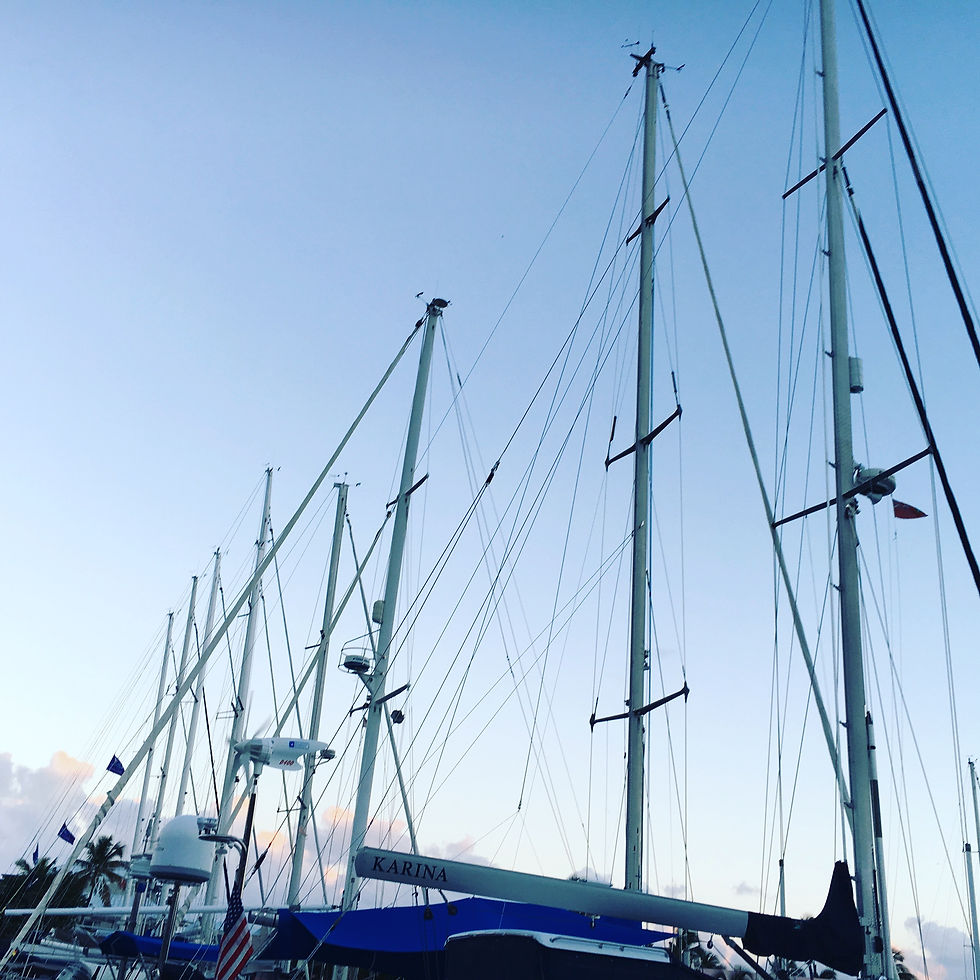 Jungle of Masts