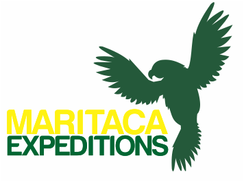 LOGO 1.gif