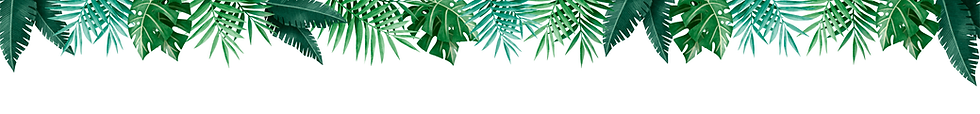 Beauty Bar Nosara Header