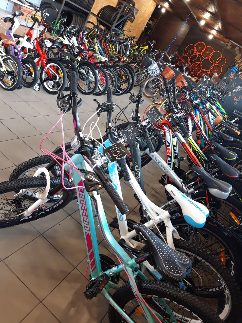 photo_2021-04-22_15-49-06 (4)