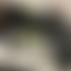 カメラ続々入荷中