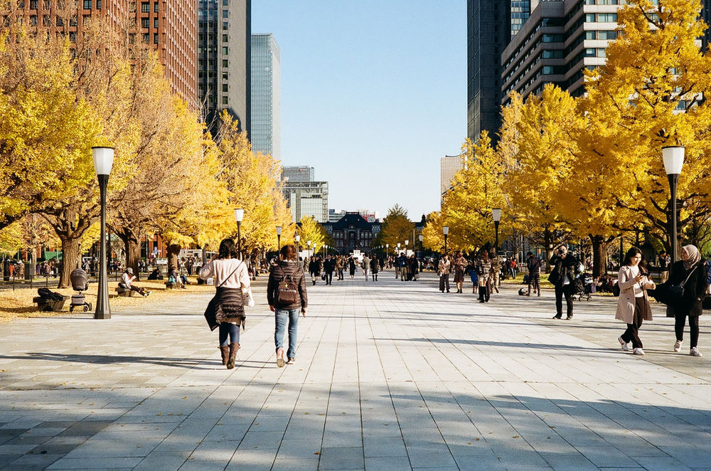 コンパクトなライカ