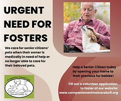 Fosters needed.jpg
