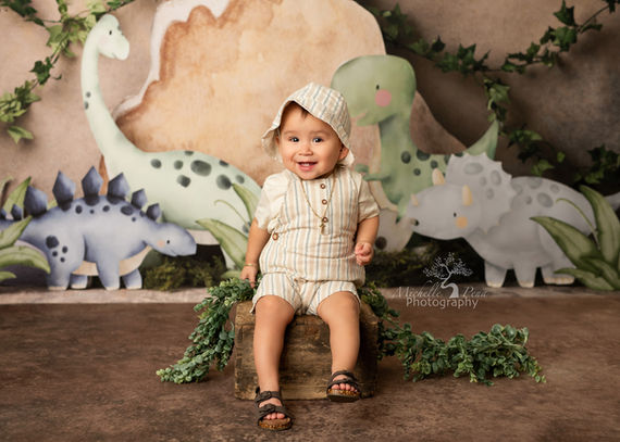 one year photography with a baby boy using a baby dinosaur theme