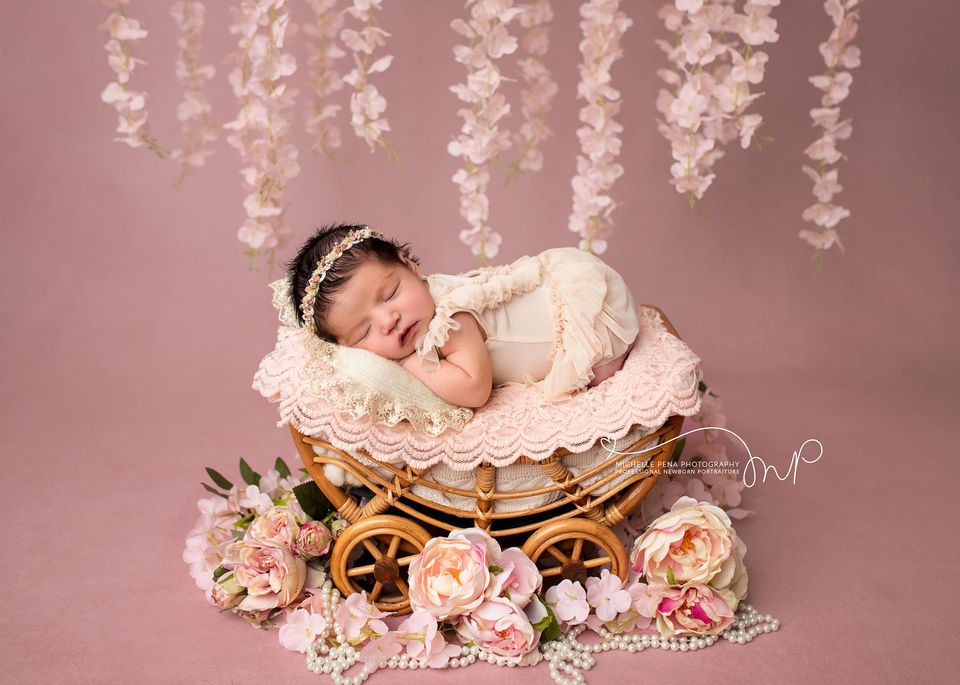 Newborn photography with a pink background and a baby girl laying in a carriage. She is surrounded with hanging pink flowers. 