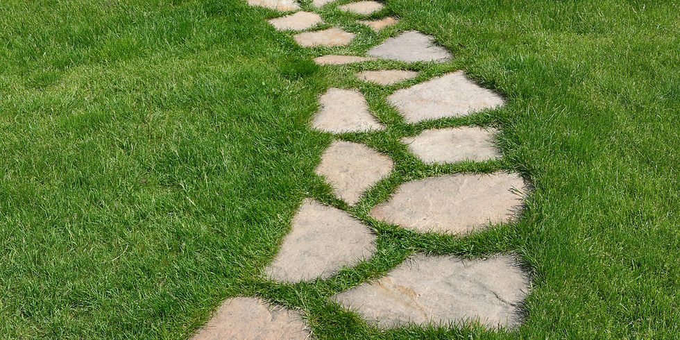 Stone path winds through vibrant green grass, creating a natural and peaceful garden scene.