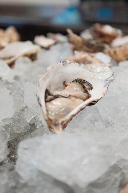 don pancho centinela.jpeg