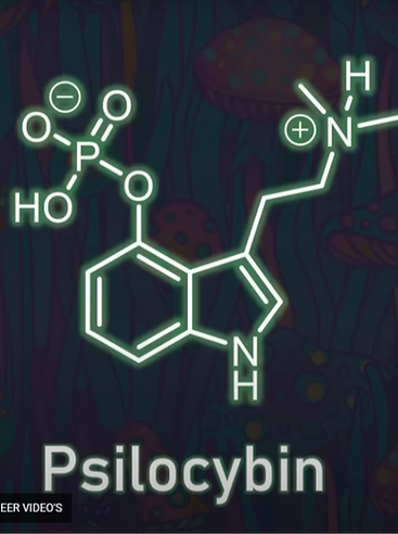 Video Psilocybin Synthesis_edited.png