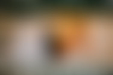 Wedding | Jacqui & Pieter