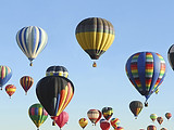 Beauty of Flight