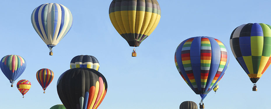 Beauty of Flight
