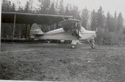 49 Charlie, "Betsy" 1951