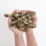 Thumbnail: Walleye Chews (3-Pack)
