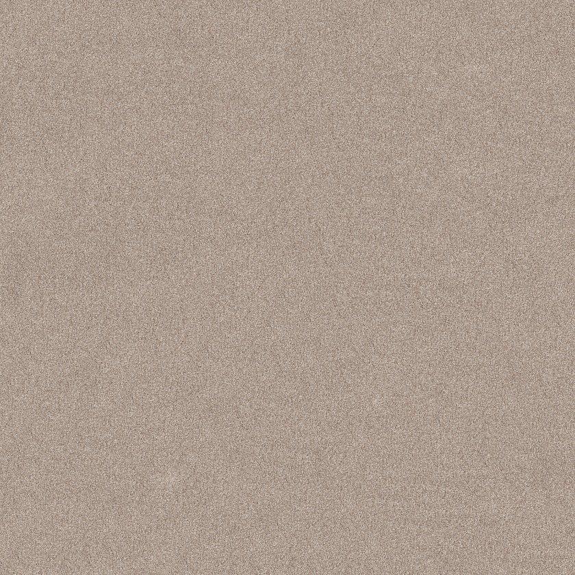 Thumbnail: Vivid Touch I