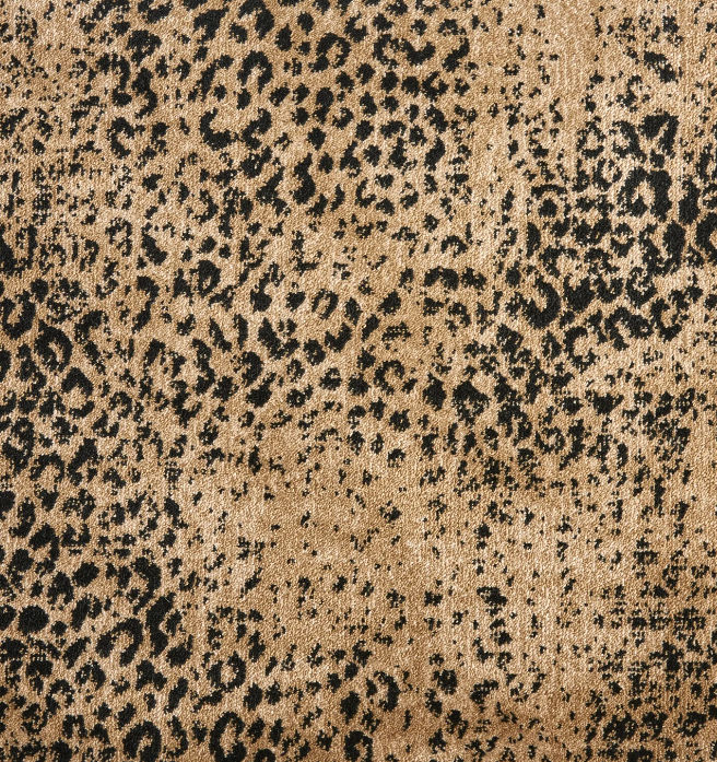 Thumbnail: King Cheetah