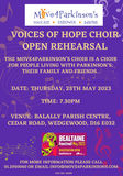 voicesofhope-openrehearsal.jpeg
