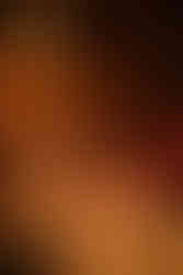 Guests toasting at an intimate candlelit wedding reception with red floral centerpieces and warm chandelier lighting inside a Brooklyn event space.