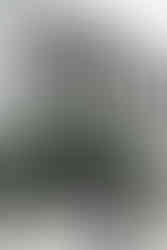 NYC City Hall wedding couple standing near the courthouse columns in Lower Manhattan