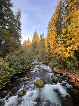 Hike to Umpqua Hot Springs