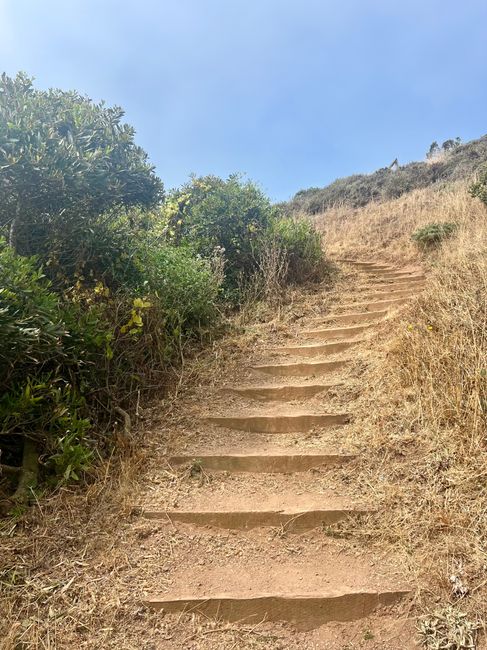 Stairs to Tennessee Beach Overlook