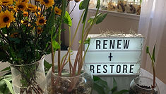 renew+restore