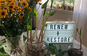 renew+restore