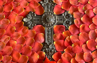 gods love roses