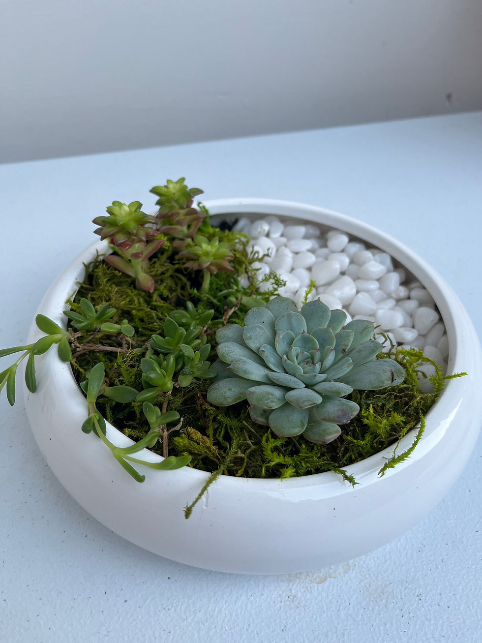 mini meditation garden