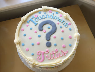 Baby Carroll Gender Reveal Party!