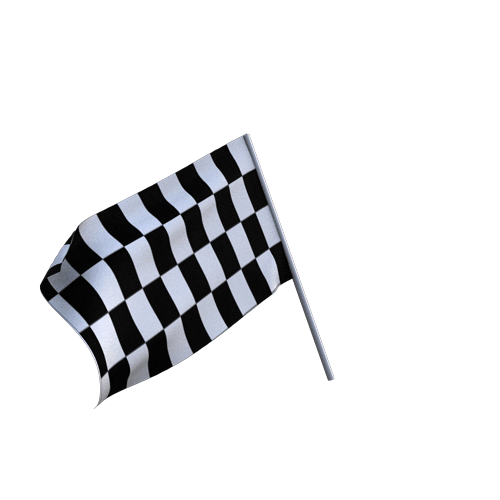 Street Leaders Custom Car Club Flag Waving