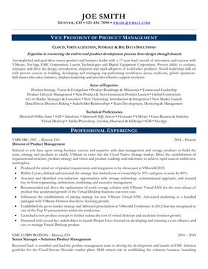 Resume Sample 4 (ERP New Blue)-1.png
