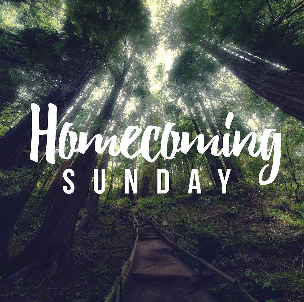 Dallas Baptist Church Homecoming