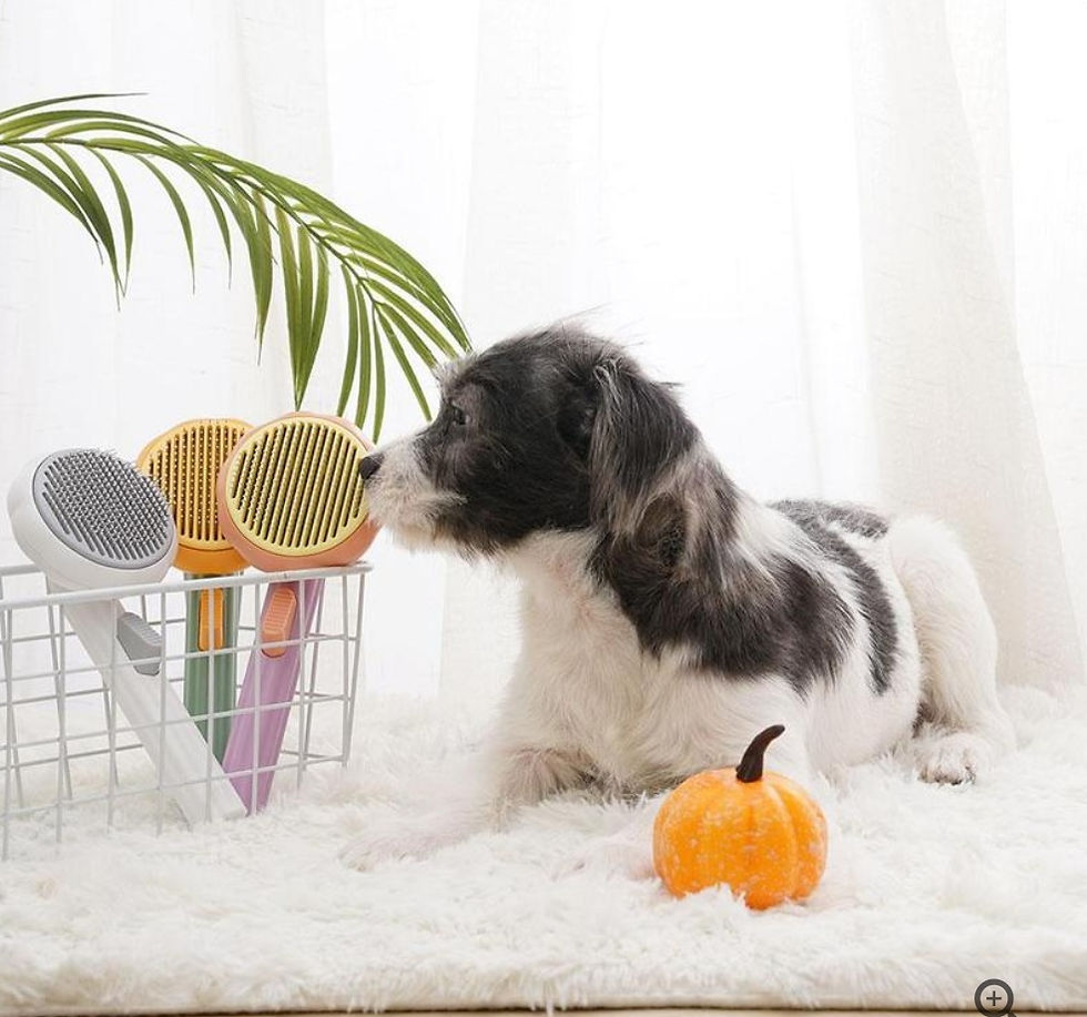 Miniatura: Cepillo Saca Pelusa De Mascota