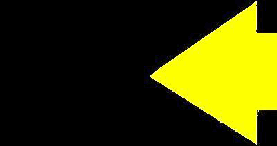 flecha amarilla gruesa.gif