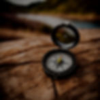 Compass with landscape in background._edited.jpg