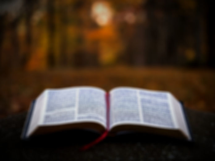 bible%20page%20on%20gray%20concrete%20surface_edited.jpg