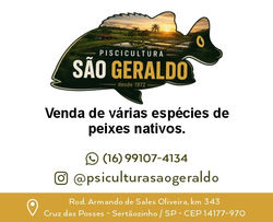 LOGO  SITE