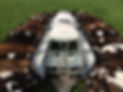 WM Calves.JPG