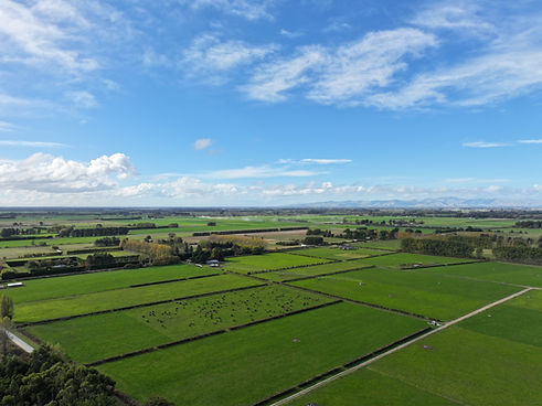 dji_fly_20240426_133340_0049_1714097076746_photo.JPG