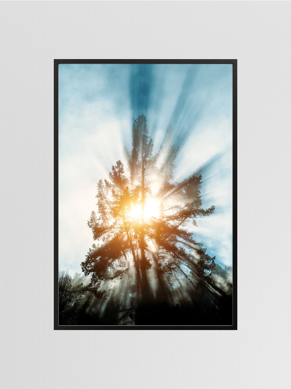 Thumbnail: Dawn