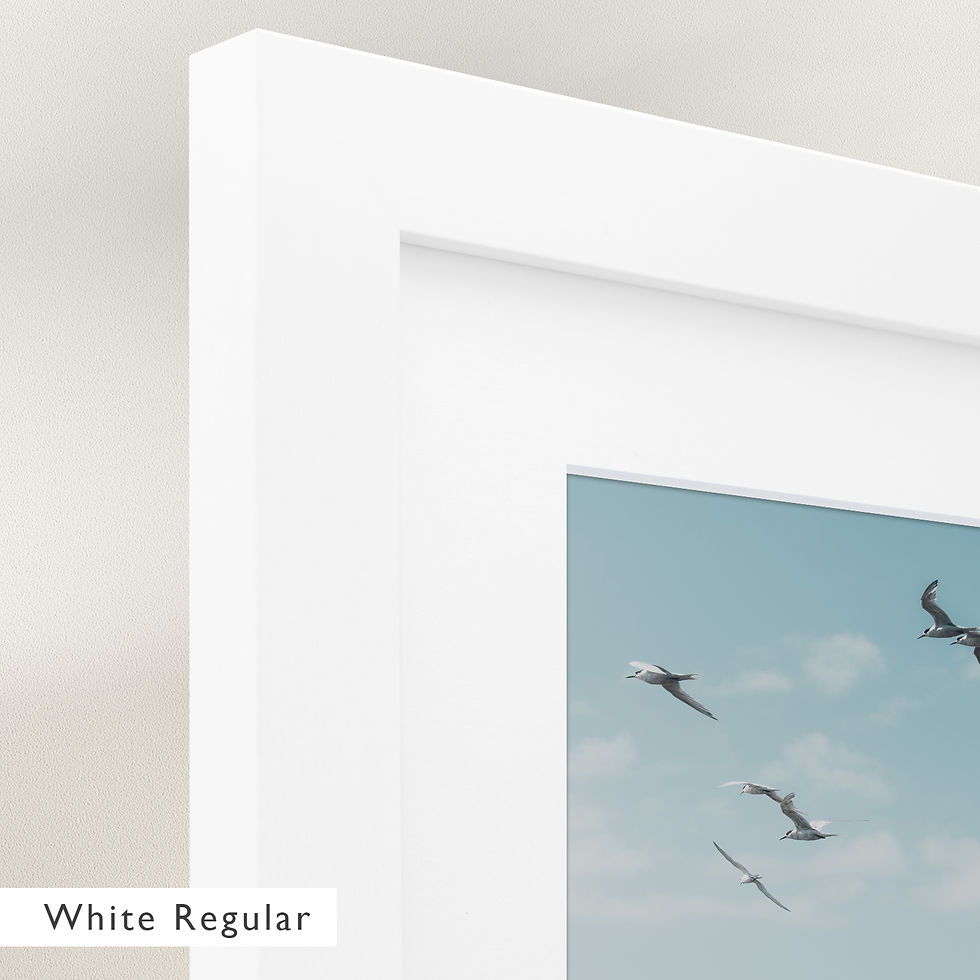 Thumbnail: Taking Flight (Framed)